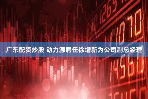 广东配资炒股 动力源聘任徐增新为公司副总经理